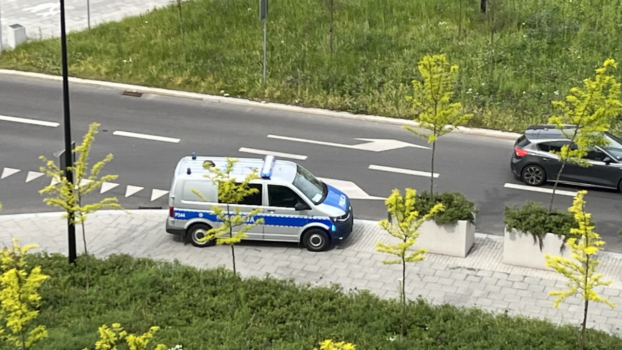 Tragiczny bilans śląskich dróg w walaje